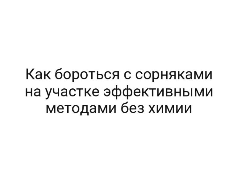Как бороться с сорняками на участке эффективными методами без химии