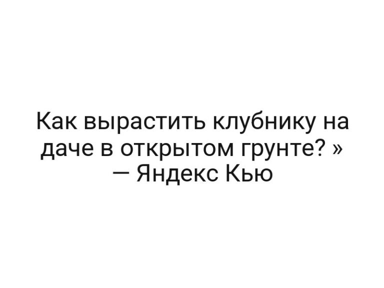 Как вырастить клубнику на даче в открытом грунте? » — Яндекс Кью