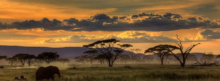 Получите туристическую визу в Восточную Африку: многоразовое путешествие между Угандой, Кенией и Руандой — сафари на всю жизнь