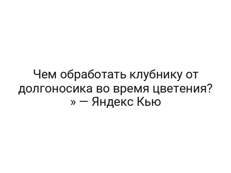 Чем обработать клубнику от долгоносика во время цветения? » — Яндекс Кью